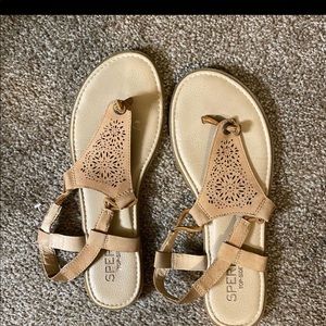 Sperry sandals